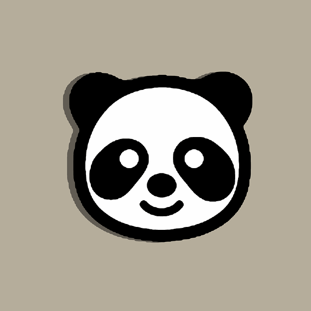 malowanie twarzy panda